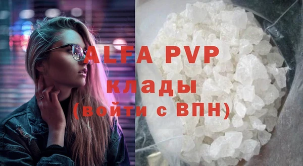 СК Алзамай