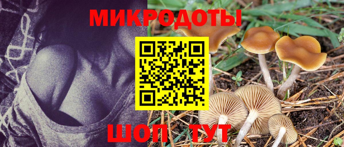 Галлюциногенные грибы мухоморы  Вход с VPN  купить закладку  Красногорск  Галлюциногенные грибы Psilocybe 