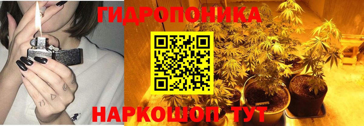 Бошки Шишки гибрид Красногорск